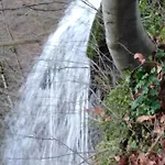 Mit Kleinem Garten