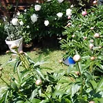 Διαμέρισμα Mit Kleinem Garten