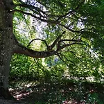 Mit Kleinem Garten * Sonnenbühl