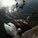 Mit Kleinem Garten * Sonnenbühl