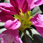 Διαμέρισμα Mit Kleinem Garten Sonnenbühl