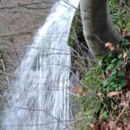Mit Kleinem Garten