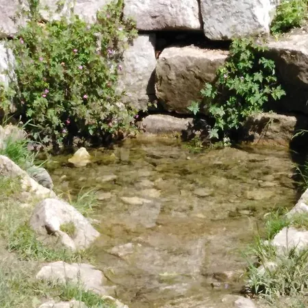 Mit Kleinem Garten Apartment *