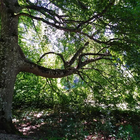 Mit Kleinem Garten * Sonnenbühl