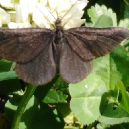 Mit Kleinem Garten * Sonnenbuhl