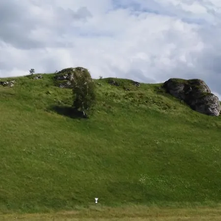 Mit Kleinem Garten Apartment *