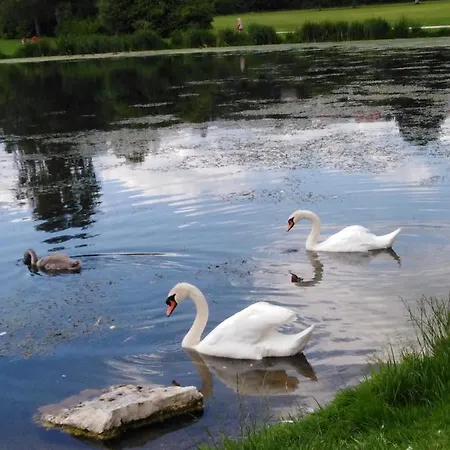 Mit Kleinem Garten Apartment Sonnenbuhl