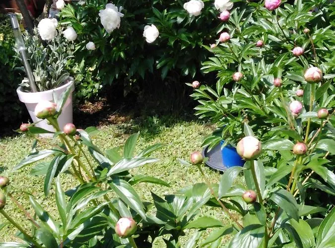 아파트 Mit Kleinem Garten