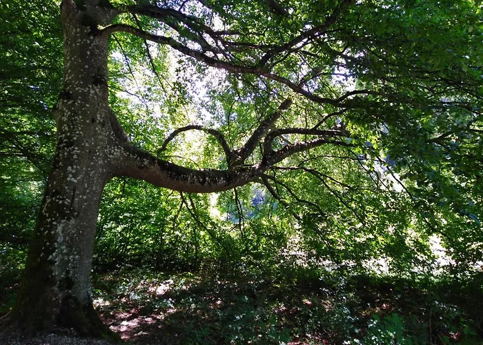Mit Kleinem Garten * Sonnenbühl
