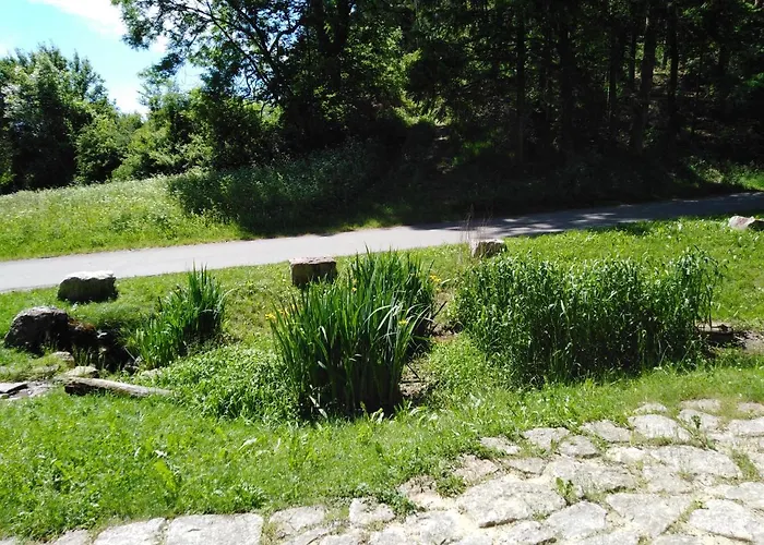 Mit Kleinem Garten * 소넨불