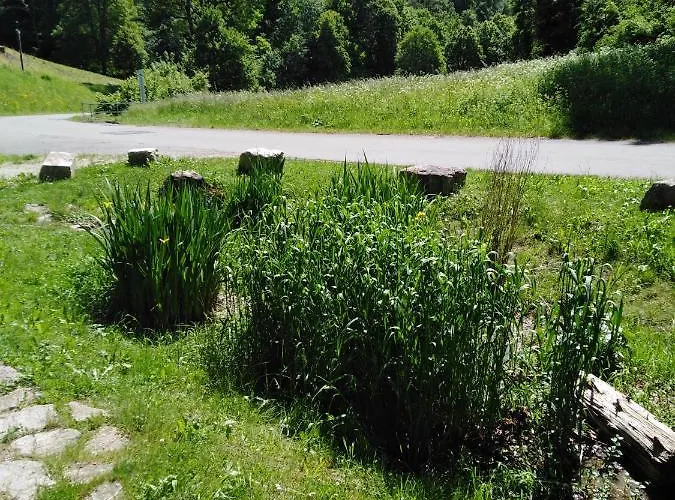 Mit Kleinem Garten 아파트 소넨불