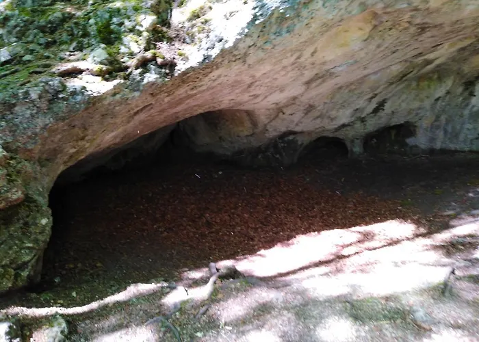 Mit Kleinem Garten *