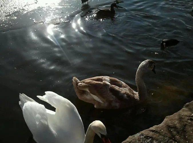 Mit Kleinem Garten * Sonnenbühl