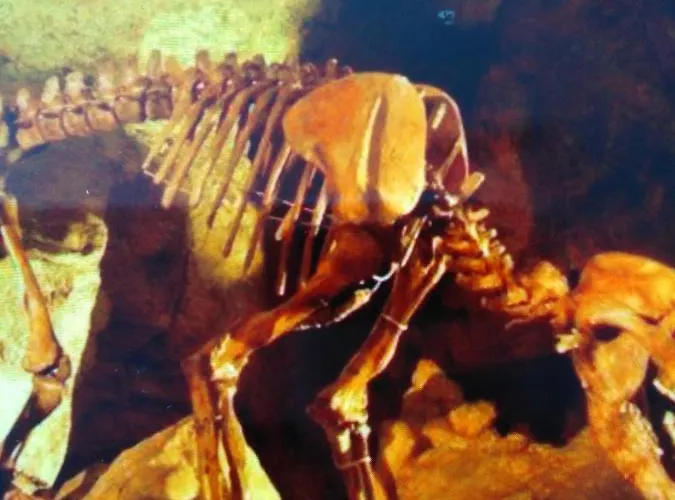 Apartment Mit Kleinem Garten *