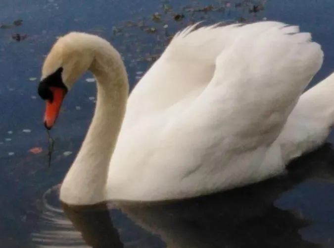 Mit Kleinem Garten شقة