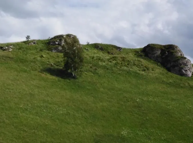 Mit Kleinem Garten 아파트 *