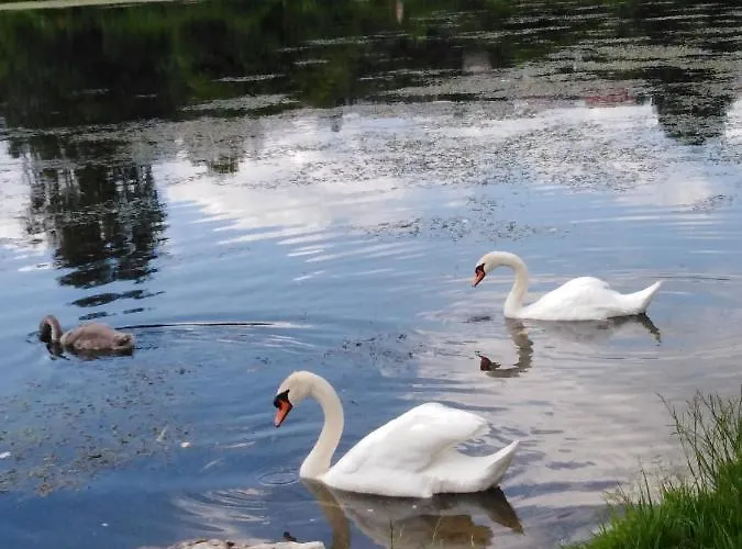 Mit Kleinem Garten Apartment Sonnenbühl