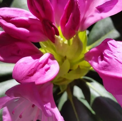Lägenhet Mit Kleinem Garten Sonnenbühl