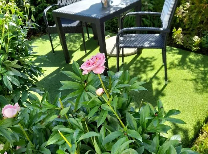 Mit Kleinem Garten Apartamento *